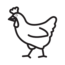 chicken zoli Creation